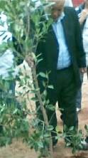 sabra_zaio_02