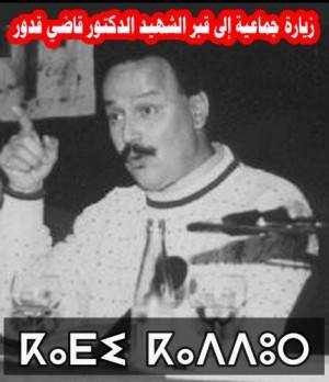 kadiii-2-431x500