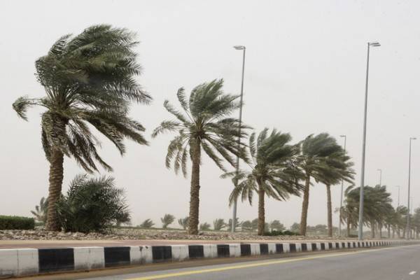 Al Ain Local