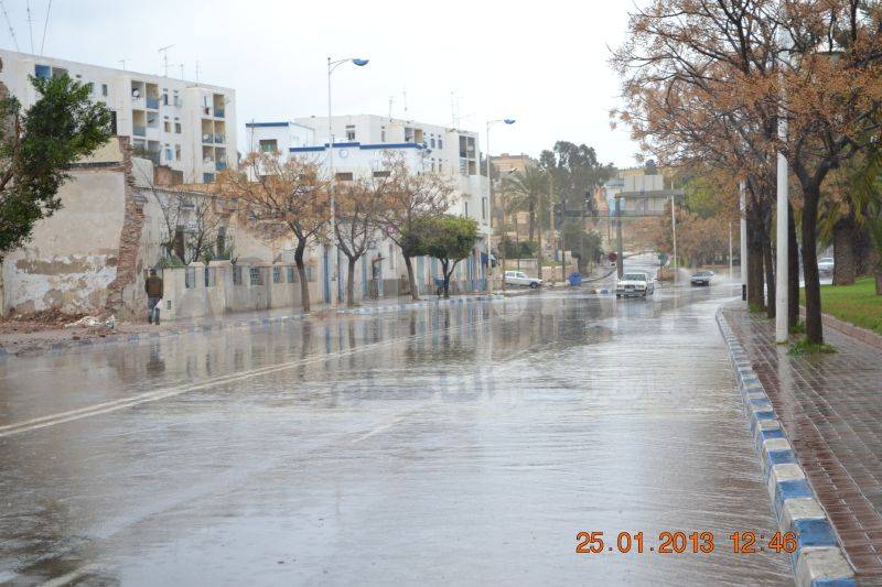 amtar_0013