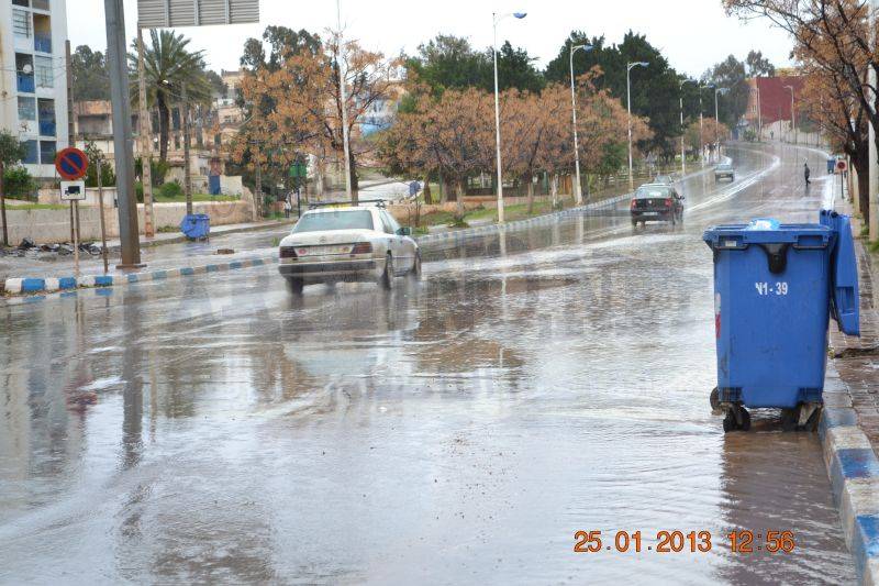 amtar_0031