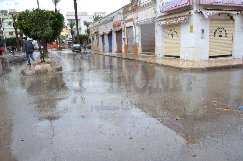 amtar_0041
