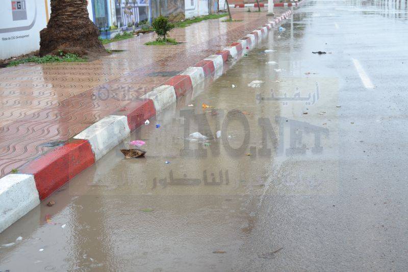 amtar_0061