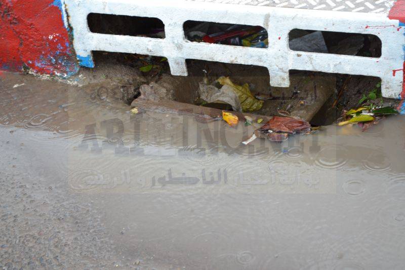 amtar_0064