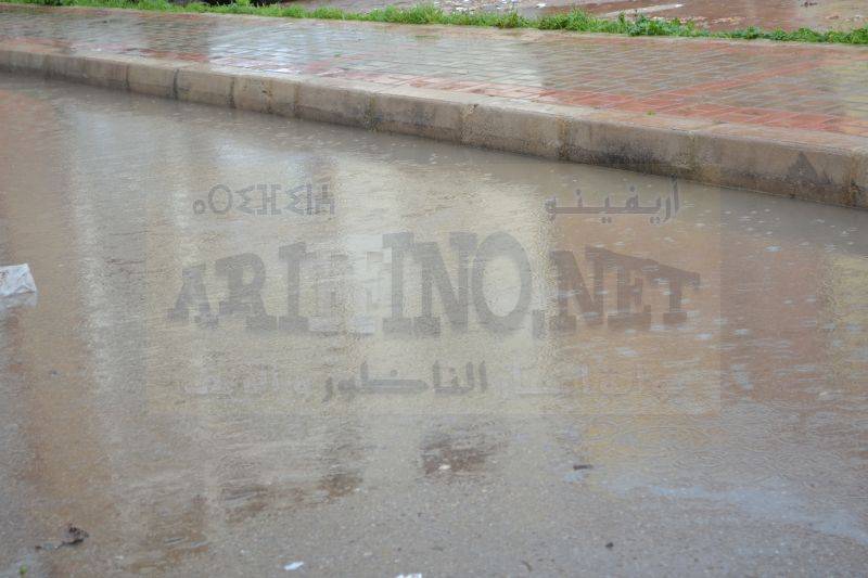 amtar_0077