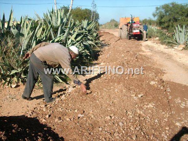 boughriba_0010