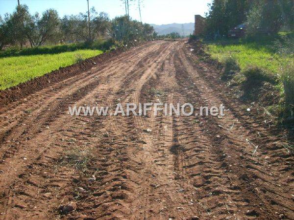 boughriba_0017
