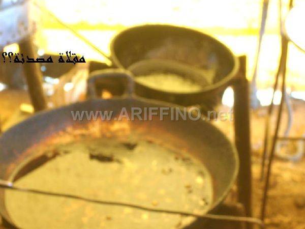 hamir_0015