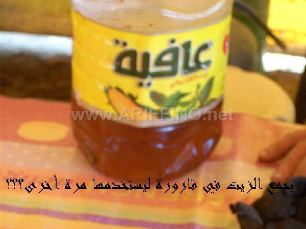 hamir_0016