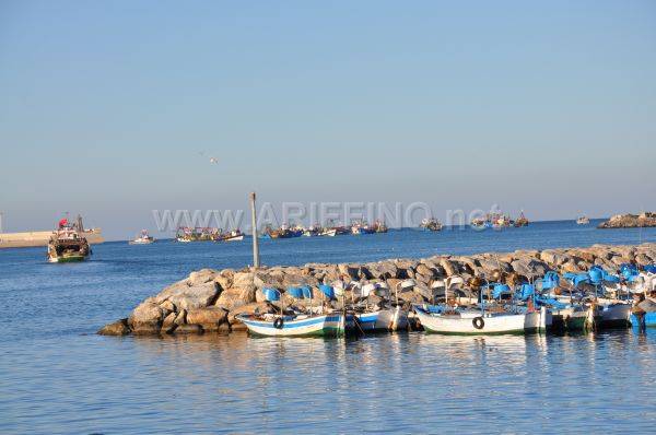 marsa_0013