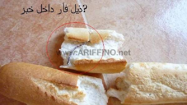 qarya_0005