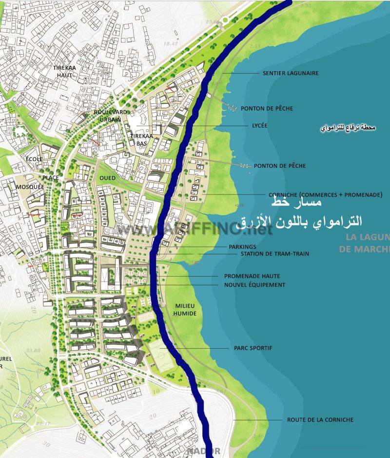 tram_0005