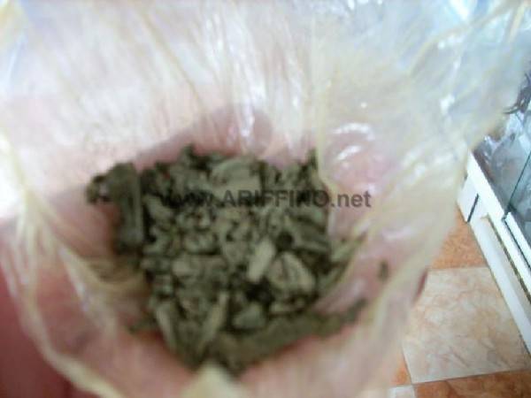 tram_0016