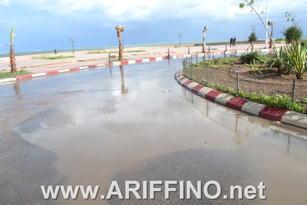 amtar_0008