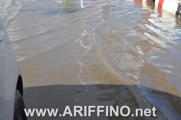 amtar_0015