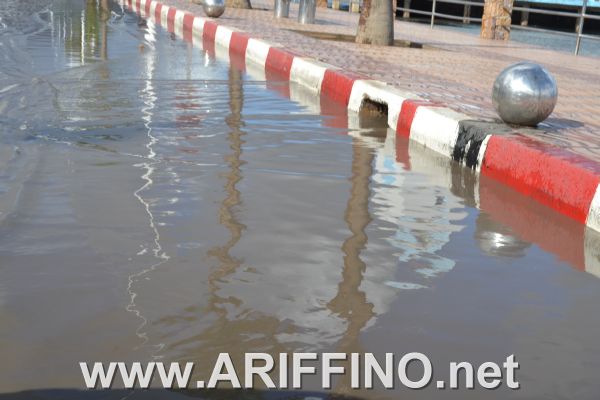 amtar_0016