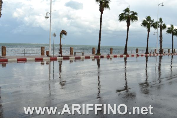 amtar_0018