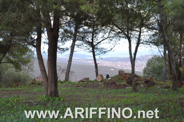 amtar_0024