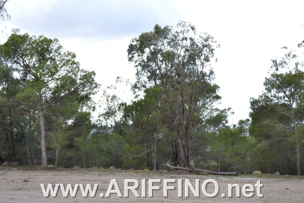 amtar_0025