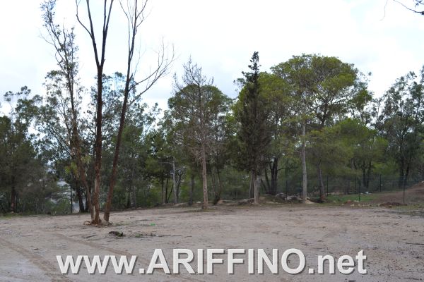 amtar_0026