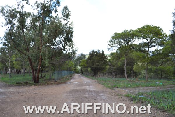 amtar_0027