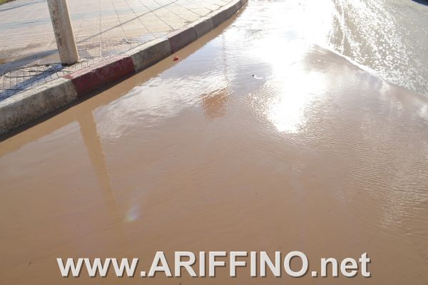 amtar_0038