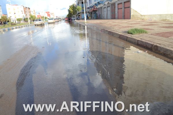 amtar_0043