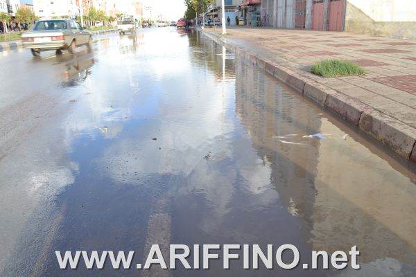 amtar_0044