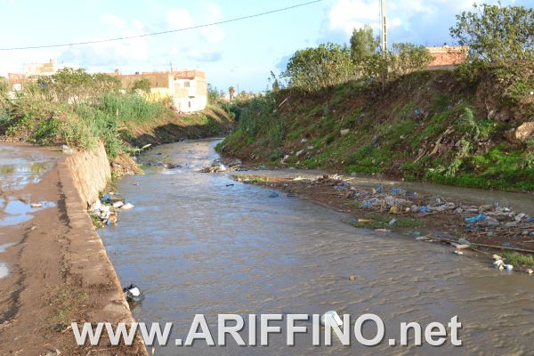 amtar_0050