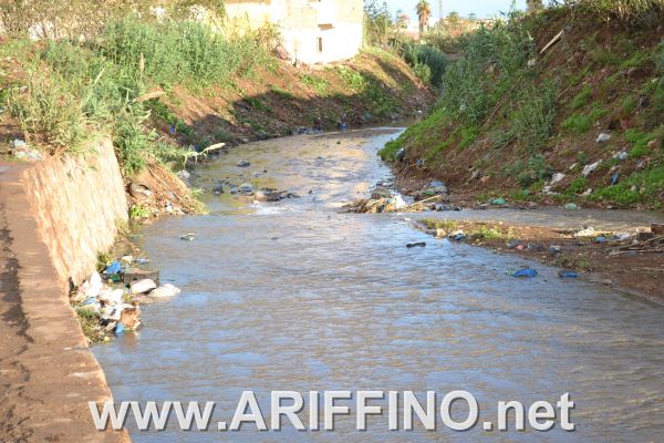 amtar_0051
