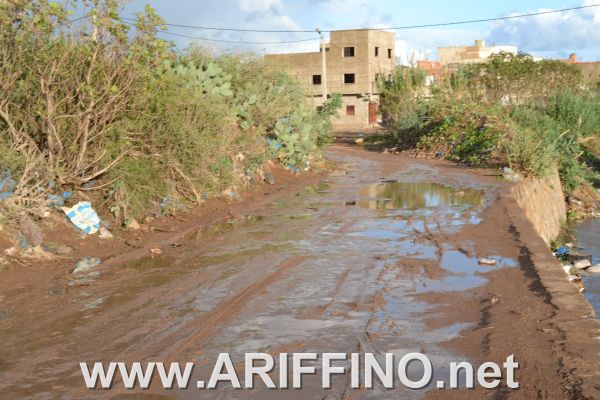 amtar_0053