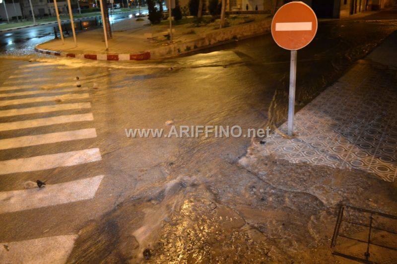 fayadan_0029