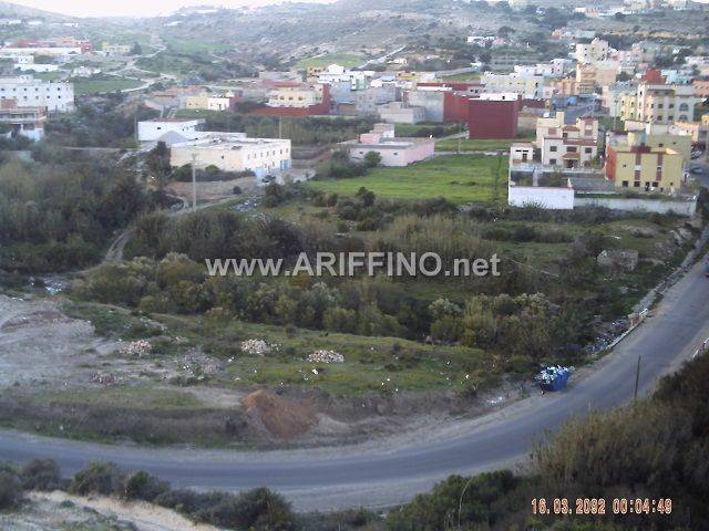mariouari_0005