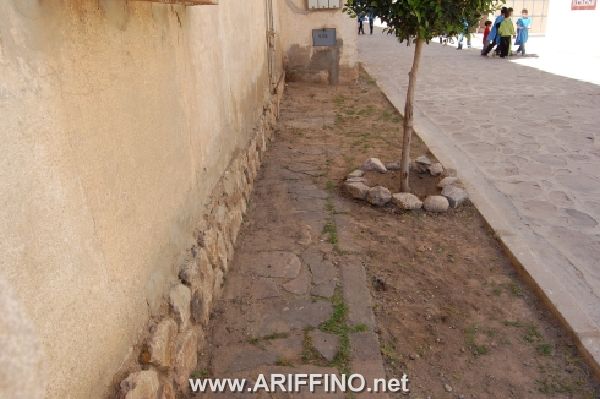 hay_0031