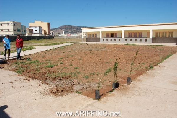 hay_0043