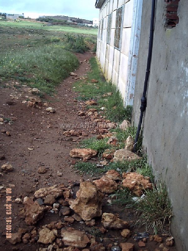 khadeb_0014