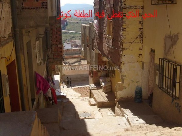 nidae_0010