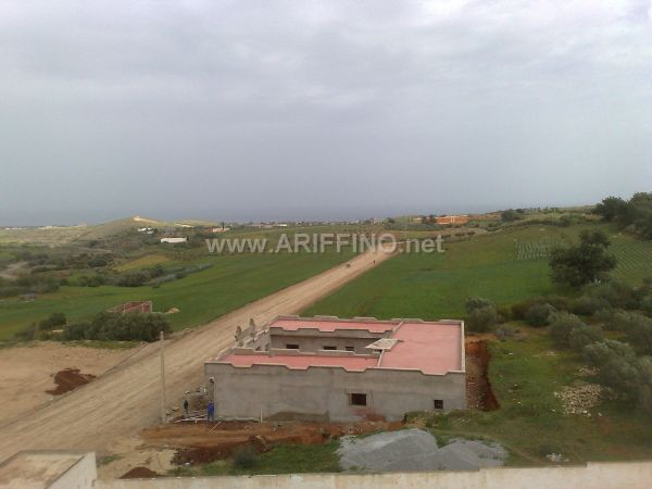 wifaq_0005