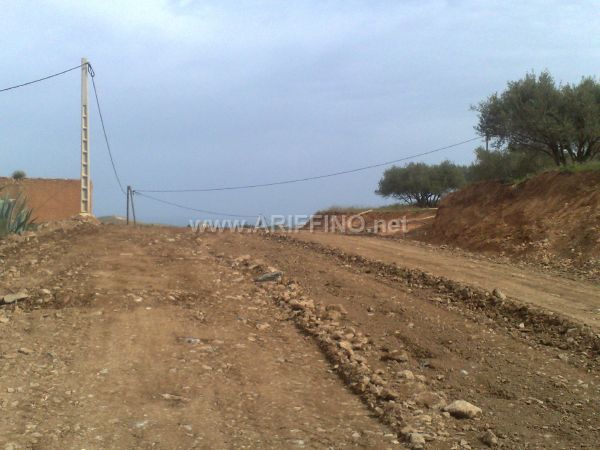 wifaq_0021
