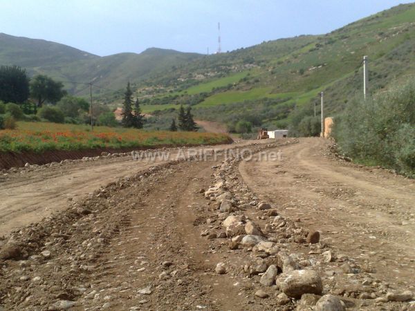 wifaq_0022