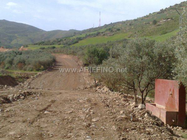 wifaq_0024