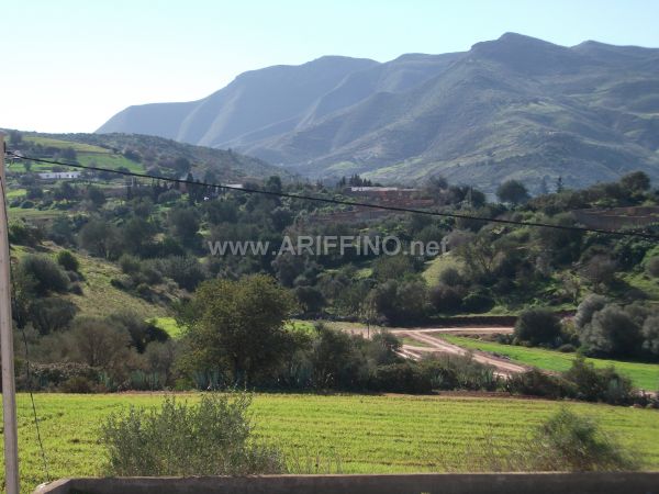 wifaq_0030