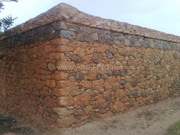 wifaq_0038