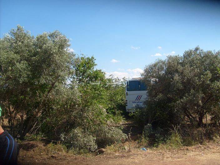 accident_0036