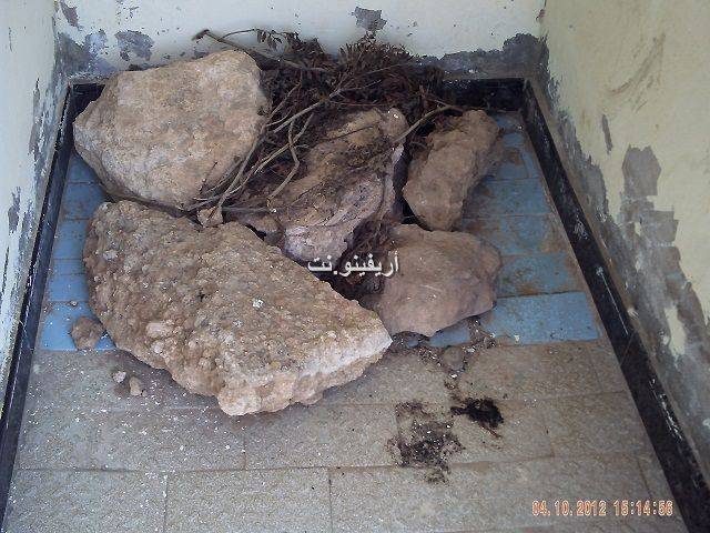hedoun_0004