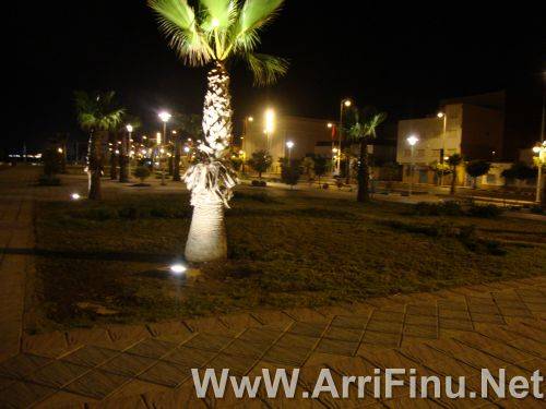 nadorbynight12