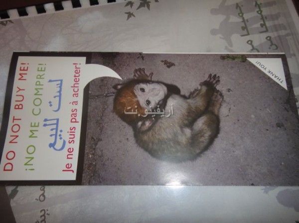 afra_0024