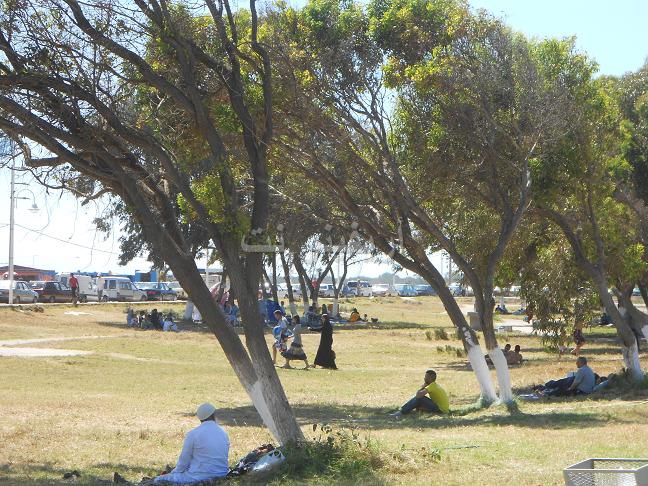 nador_0002
