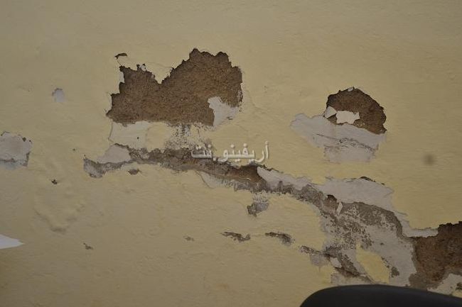 qarya_0012