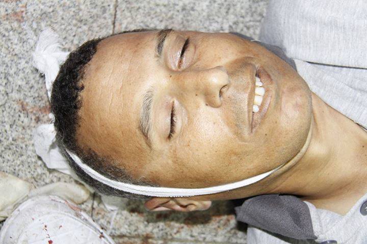 946874_545843528826094_1626096965_n